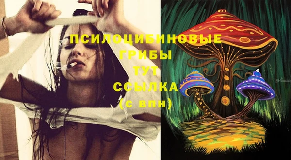 скорость Зеленодольск