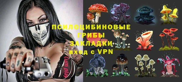 apvp Зеленокумск
