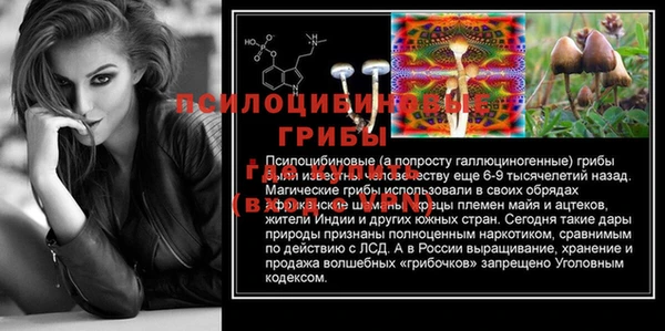 экстази Щигры