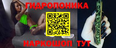 гидропоника Можайск