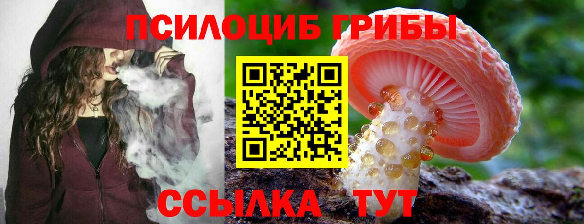 Псилоцибиновые грибы Psilocybine cubensis Тавда