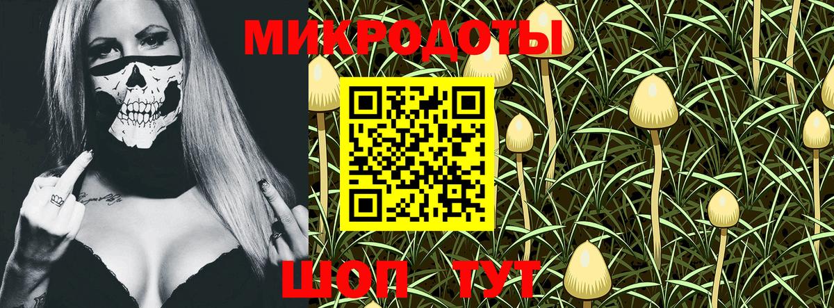 Тавда  Псилоцибиновые грибы Magic Shrooms  Вход с VPN  Псилоцибиновые грибы Magic Shrooms 